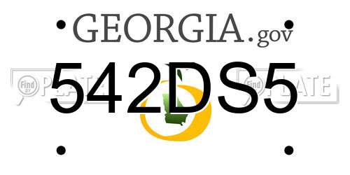 542DS5 Georgia License Plate