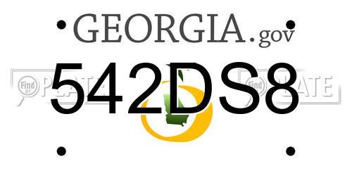 542DS8 Georgia License Plate