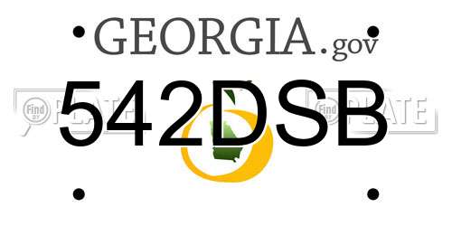 542DSB Georgia License Plate