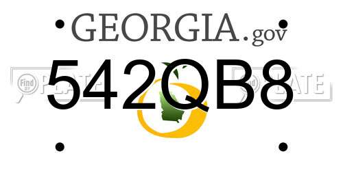 542QB8 Georgia License Plate