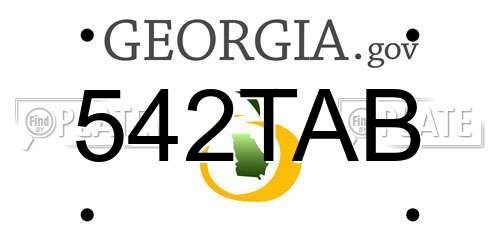 542TAB Georgia License Plate