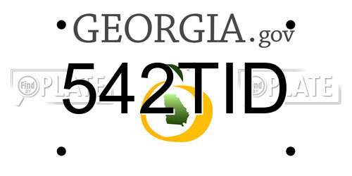 542TID Georgia License Plate