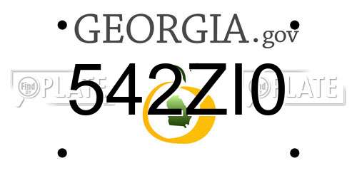 542ZI0 Georgia License Plate