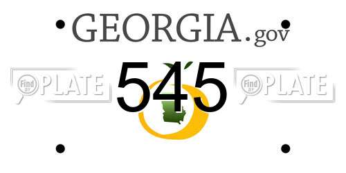545 Georgia License Plate