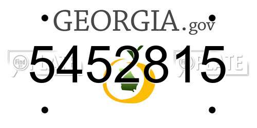 5452815 Georgia License Plate
