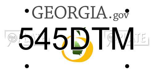 545DTM Georgia License Plate