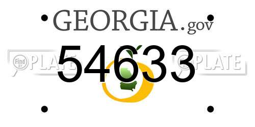 54633 Georgia License Plate