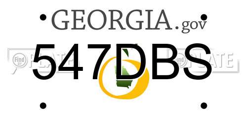 547DBS Georgia License Plate