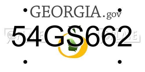 54GS662 Georgia License Plate