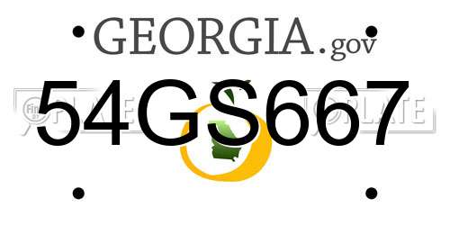 54GS667 Georgia License Plate