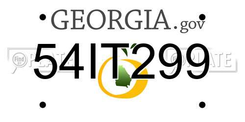 54IT299 Georgia License Plate