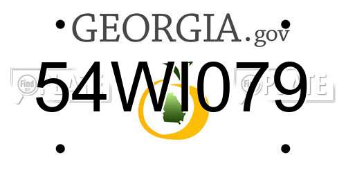 54WI079 Georgia License Plate