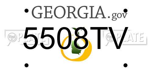 5508TV Georgia License Plate