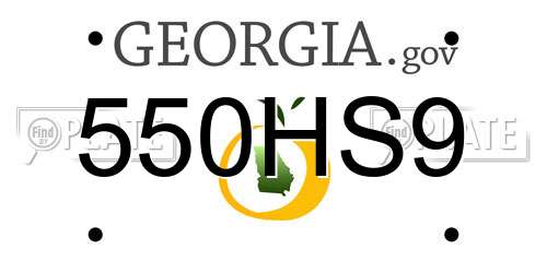 550HS9 Georgia License Plate