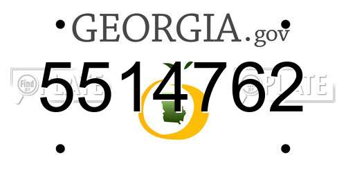 5514762 Georgia License Plate