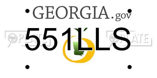 551LLS Georgia License Plate