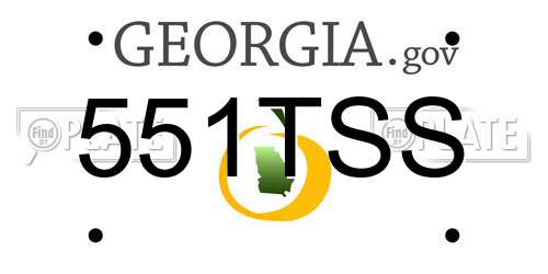 551TSS Georgia License Plate