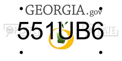 551UB6 Georgia License Plate
