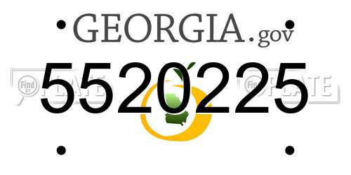 5520225 Georgia License Plate