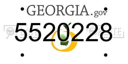 5520228 Georgia License Plate