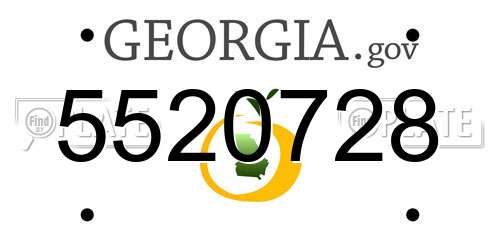 5520728 Georgia License Plate
