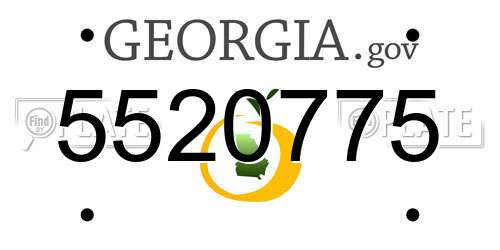 5520775 Georgia License Plate
