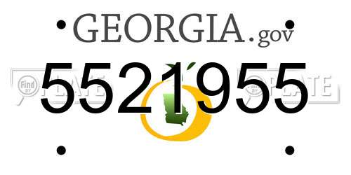 5521955 Georgia License Plate