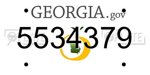 5534379 Georgia License Plate