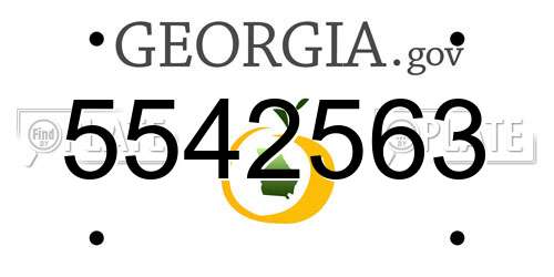 5542563 Georgia License Plate