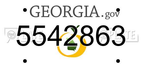 5542863 Georgia License Plate