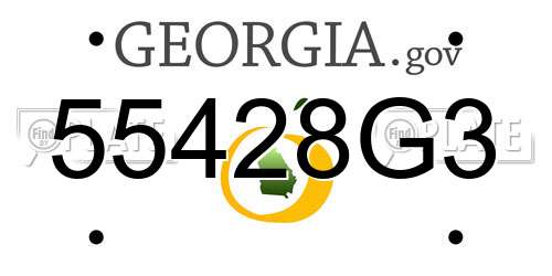 55428G3 Georgia License Plate