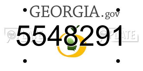 5548291 Georgia License Plate