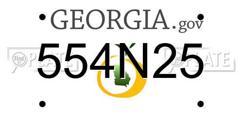 554N25 Georgia License Plate