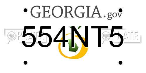 554NT5 Georgia License Plate