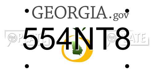 554NT8 Georgia License Plate