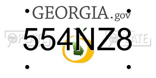 554NZ8 Georgia License Plate
