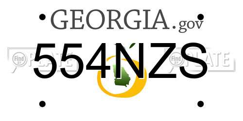 554NZS Georgia License Plate