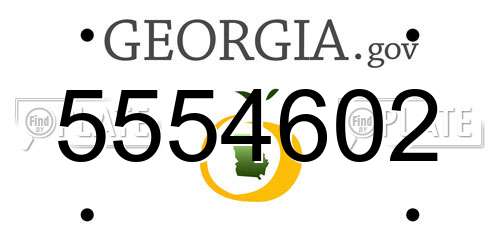 5554602 Georgia License Plate