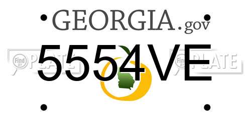 5554VE Georgia License Plate