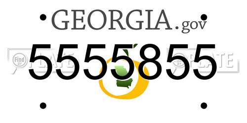 5555855 Georgia License Plate