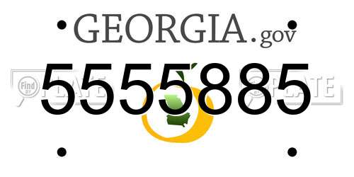 5555885 Georgia License Plate