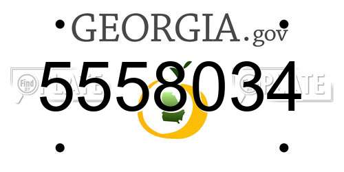 5558034 Georgia License Plate