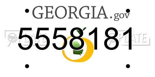 5558181 Georgia License Plate