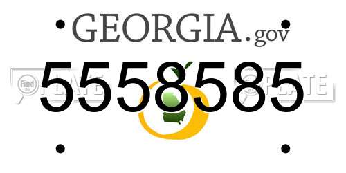 5558585 Georgia License Plate