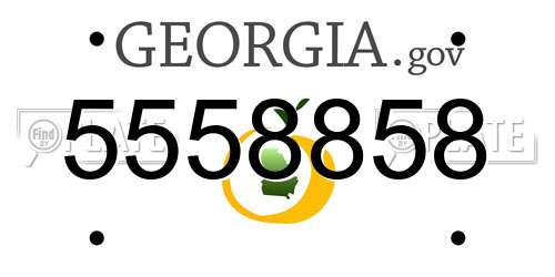 5558858 Georgia License Plate