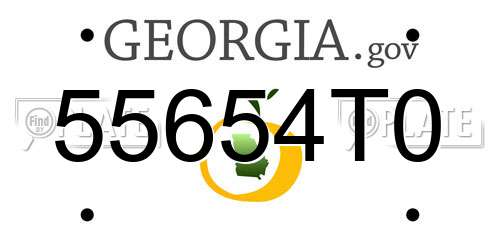 55654T0 Georgia License Plate