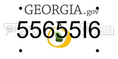 55655I6 Georgia License Plate