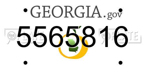 5565816 Georgia License Plate
