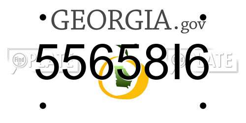 55658I6 Georgia License Plate