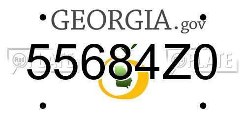 55684Z0 Georgia License Plate